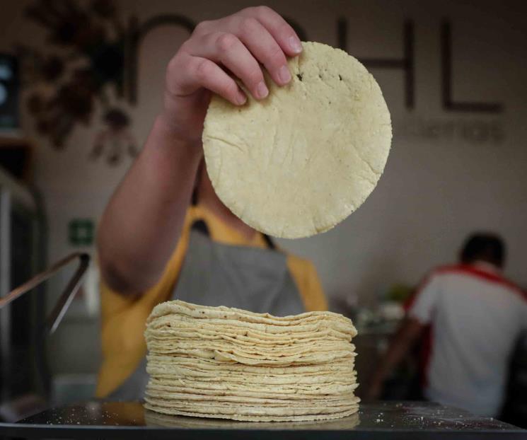 Acuerdo sobre maíz y tortilla beneficia solo a dos organizaciones Acuerdo sobre maíz y tortilla beneficia solo a dos organizaciones