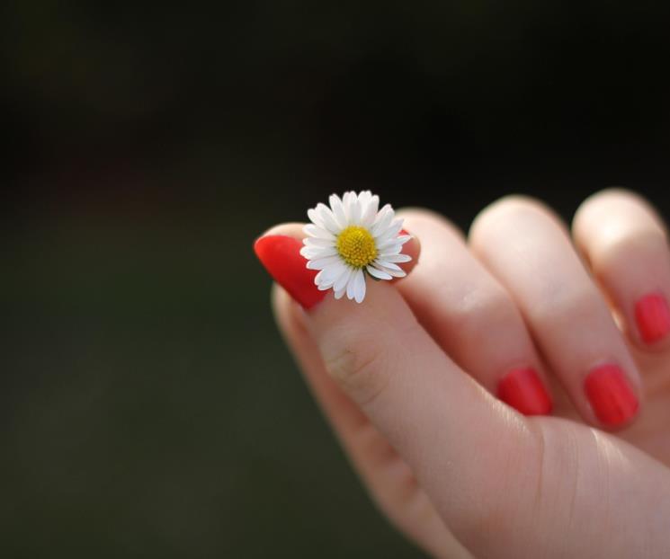 3 tipos de uñas que son elegantes 3 tipos de uñas que son elegantes