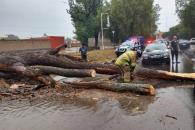 Causa estragos tormenta Dalila en Guerrero y Chiapas Causa estragos tormenta Dalila en Guerrero y Chiapas