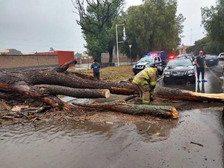 Causa estragos tormenta Dalila en Guerrero y Chiapas Causa estragos tormenta Dalila en Guerrero y Chiapas