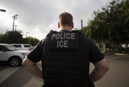¿Qué es y qué hace el ICE? ¿Qué es y qué hace el ICE?