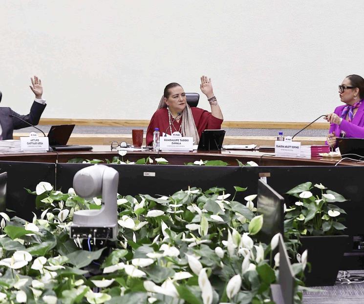 Valida INE la elección de la Suprema Corte de Justicia de la Nación Valida INE la elección de la Suprema Corte de Justicia de la Nación
