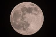 Calendario Lunar 2025; las fases de la Luna Calendario Lunar 2025; las fases de la Luna