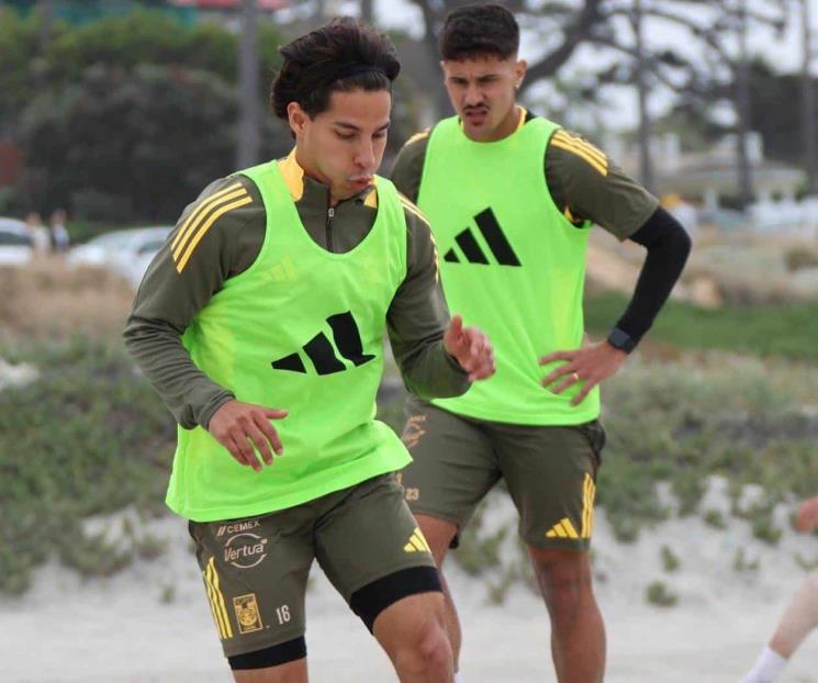 Tiene Tigres pretemporada en playa Tiene Tigres pretemporada en playa