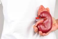 Este jueves se celebra el Día Mundial del Cáncer de Riñón