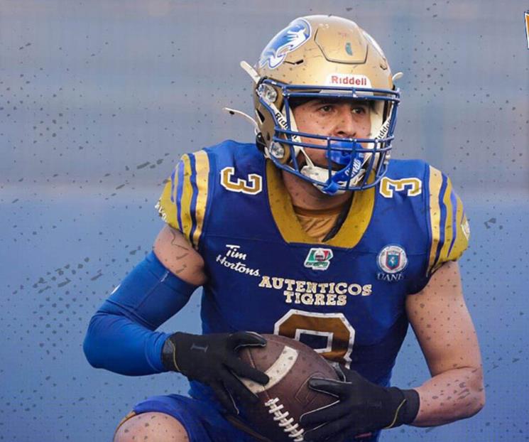 Auténticos Tigres Azul vencen a los Oro Auténticos Tigres Azul vencen a los Oro