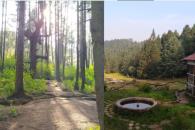 Peña de Lobos: qué hacer en el bosque embrujado cerca de CDMX Peña de Lobos: qué hacer en el bosque embrujado cerca de CDMX