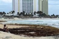 La isla de Quintana Roo a donde casi no llega el sargazo