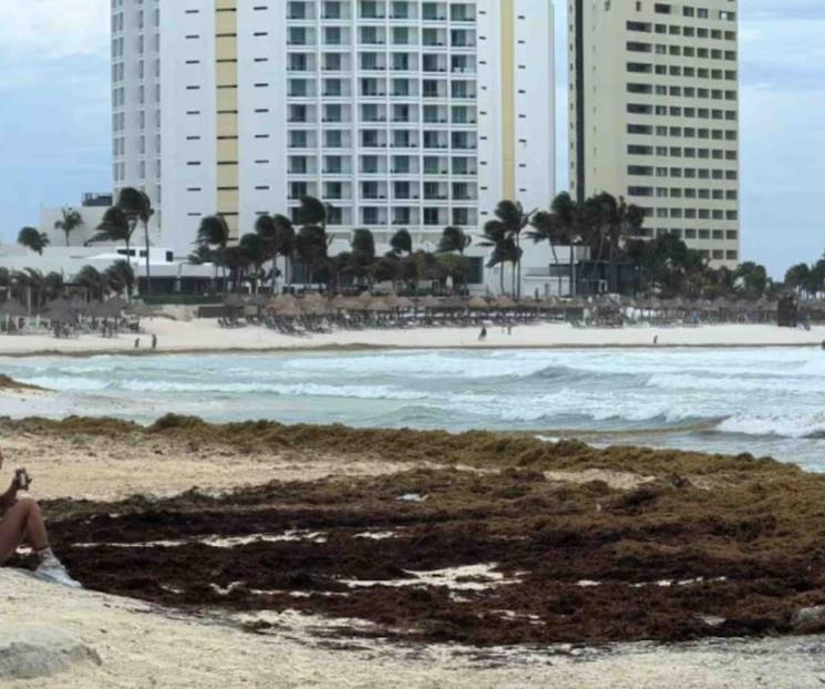 La isla de Quintana Roo a donde casi no llega el sargazo La isla de Quintana Roo a donde casi no llega el sargazo