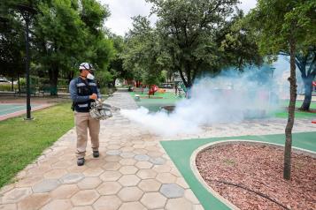 Fumigan áreas verdes y parques públicos en SP