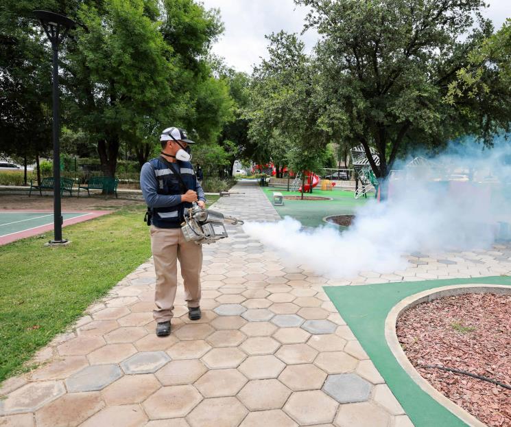Fumigan áreas verdes y parques públicos en SP Fumigan áreas verdes y parques públicos en SP