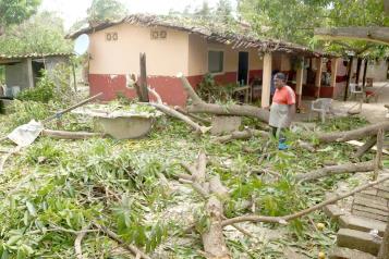 Solicitará Guerrero declaratoria de desastre