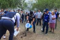 Donan 3 mil árboles a municipio de Monterrey Donan 3 mil árboles a municipio de Monterrey
