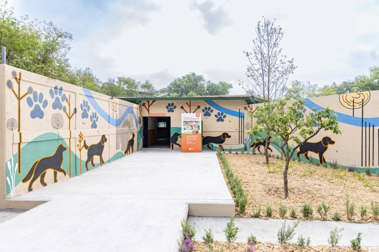 imagen-cuerpo imagen-cuerpo