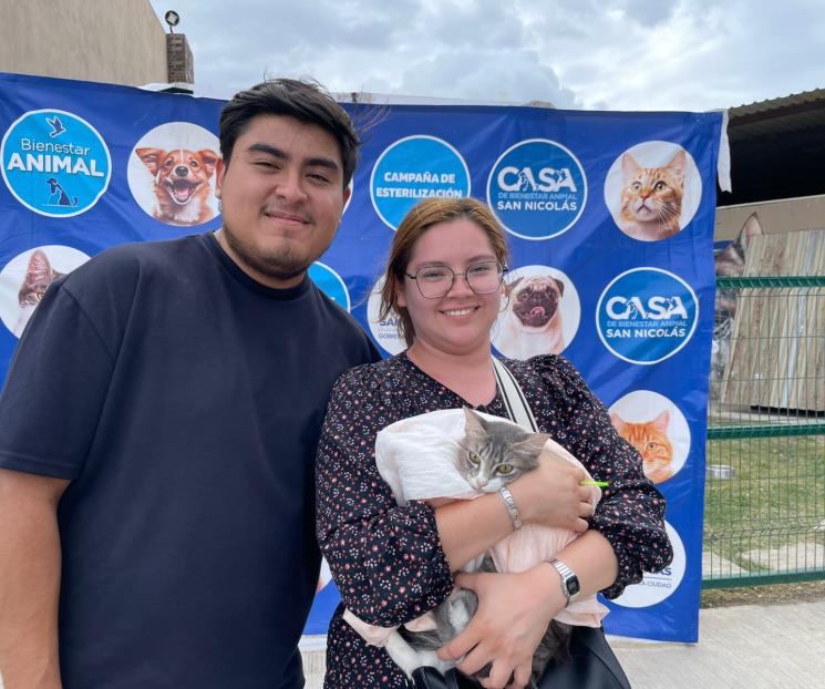 Atienden en SN a más de 2 mil animales en brigada canina y felina Atienden en SN a más de 2 mil animales en brigada canina y felina