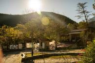 Invita Parque y Vida Silvestre a participar en la Carrera Estanzuela