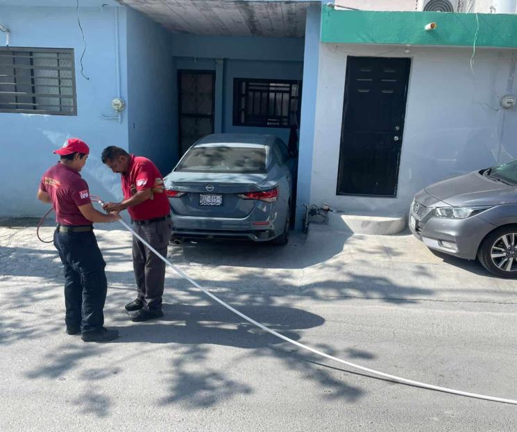 Rescatan a gata Rescatan a gata