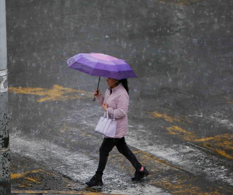 Cómo quitar el olor a humedad de tus zapatos mojados por la lluvia Cómo quitar el olor a humedad de tus zapatos mojados por la lluvia