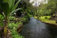 La leyenda del barrio mágico de San Pedro en Michoacán