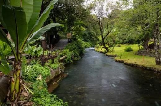 La leyenda del barrio mágico de San Pedro en Michoacán La leyenda del barrio mágico de San Pedro en Michoacán