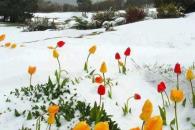 El fracaso del invierno