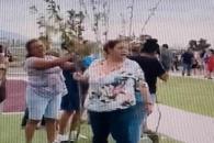 Regalan en García árboles frutales Regalan en García árboles frutales