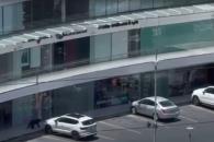 Sorprende osezno en centro comercial