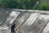 Rescatan a perro en arroyo