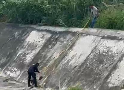 Rescatan a perro en arroyo