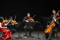 Cautiva el ensamble Wiener Kammersymphonie al público regio