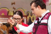 Dan en adopción a perrita rescatada Dan en adopción a perrita rescatada