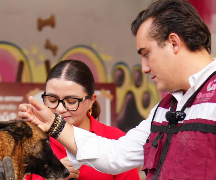Dan en adopción a perrita rescatada