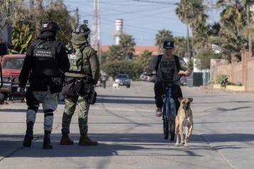 Reportan disminuci&oacute;n significativa en delitos