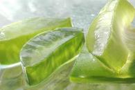 Para qué sirve ponerte en la piel cubos de aloe vera