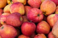 ¡De temporada! Frutas y verduras para comer en julio ¡De temporada! Frutas y verduras para comer en julio