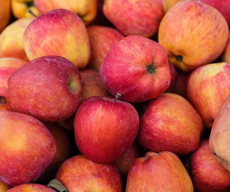 ¡De temporada! Frutas y verduras para comer en julio ¡De temporada! Frutas y verduras para comer en julio
