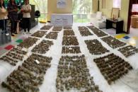 Evita Profepa envío ilegal de especies protegidas Evita Profepa envío ilegal de especies protegidas