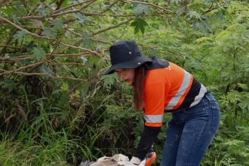 Limpian el río Santa Catarina