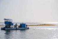 Mara Lezama y Alicia B&aacute;rcena supervisan estrategia contra sargazo