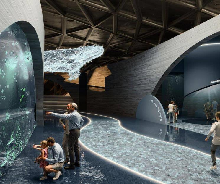 Proponen rediseño de Plaza Acuario con enfoque ecológico y educativo Proponen rediseño de Plaza Acuario con enfoque ecológico y educativo