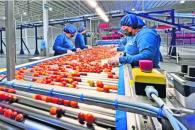 Reducción de jornada laboral costará 65 mil pesos por trabajador Reducción de jornada laboral costará 65 mil pesos por trabajador