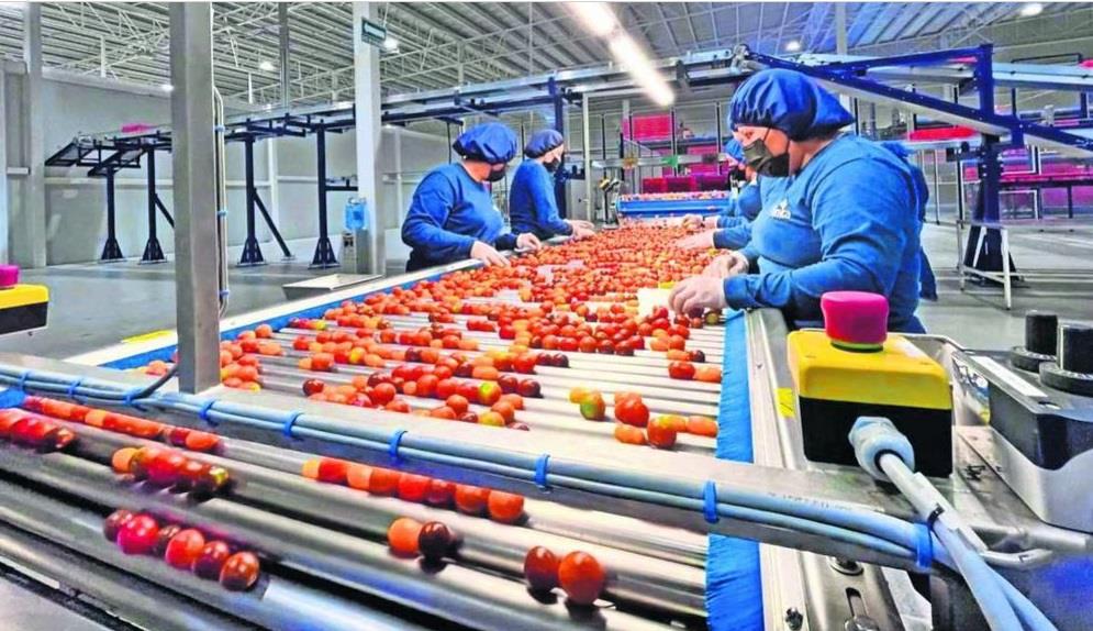 Reducción de jornada laboral costará 65 mil pesos por trabajador Reducción de jornada laboral costará 65 mil pesos por trabajador