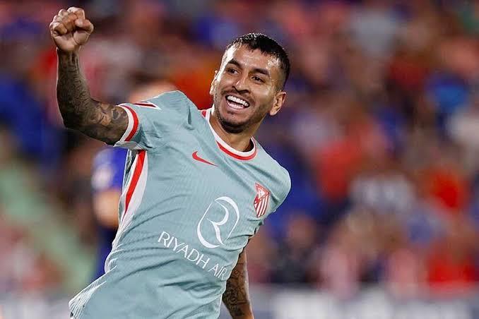 Llega hoy la bomba felina Llega hoy la bomba felina