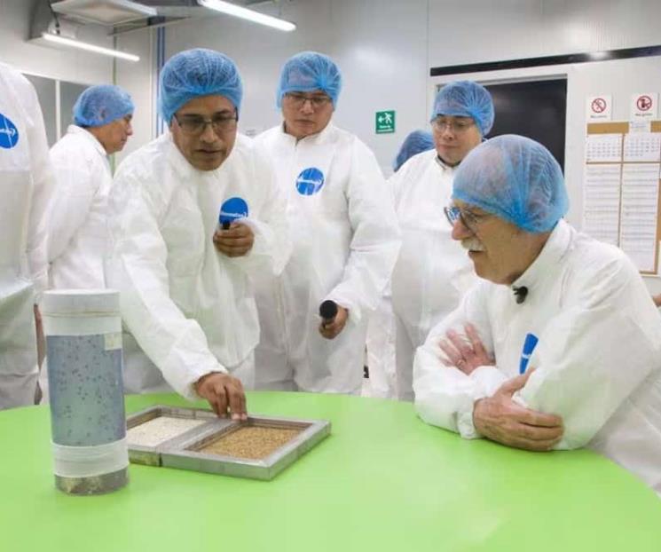Arranca en Chiapas planta contra el gusano barrenador Arranca en Chiapas planta contra el gusano barrenador