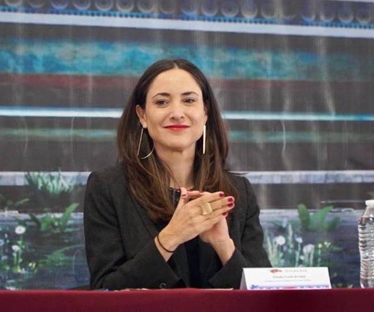 SC anuncia convocatoria para convertir armas en obras de arte SC anuncia convocatoria para convertir armas en obras de arte