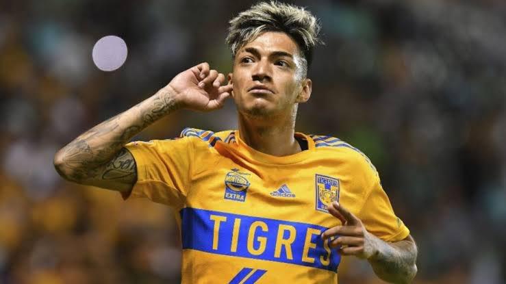 Vende Tigres a Fulgencio Vende Tigres a Fulgencio