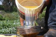 Llaman gasolineros a regular el mercado de hidrocarburos