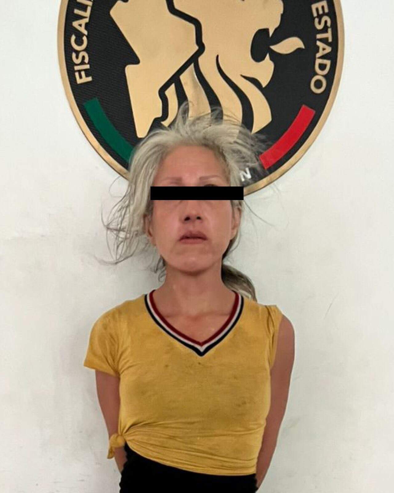 Una mujer fue detenida por elementos de la Secretaría de Seguridad y Vialidad Salinas Victoria y fue puesta a disposición del Ministerio Público por delitos contra el medio ambiente y daño a propiedad ajena, al presuntamente provocar un incendio en un domicilio con acumulación de basura.