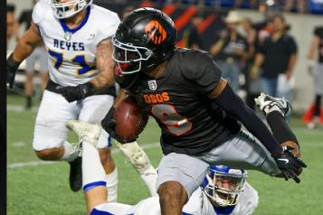 Van Osos por título de la LFA