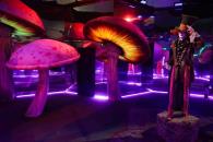 Verano bajo el hechizo de la capital Verano bajo el hechizo de la capital